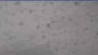 20250506_074002.jpg 