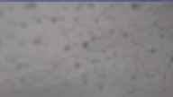 20250506_080002.jpg 