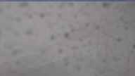 20250506_082002.jpg 
