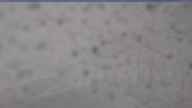 20250506_084002.jpg 