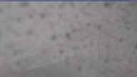 20250506_090002.jpg 