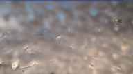20250507_180002.jpg 