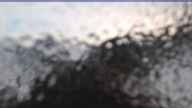 20250526_054002.jpg 
