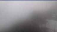 20250529_054002.jpg 