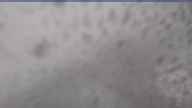 20250530_072002.jpg 