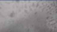 20250530_074002.jpg 