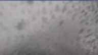 20250530_082002.jpg 