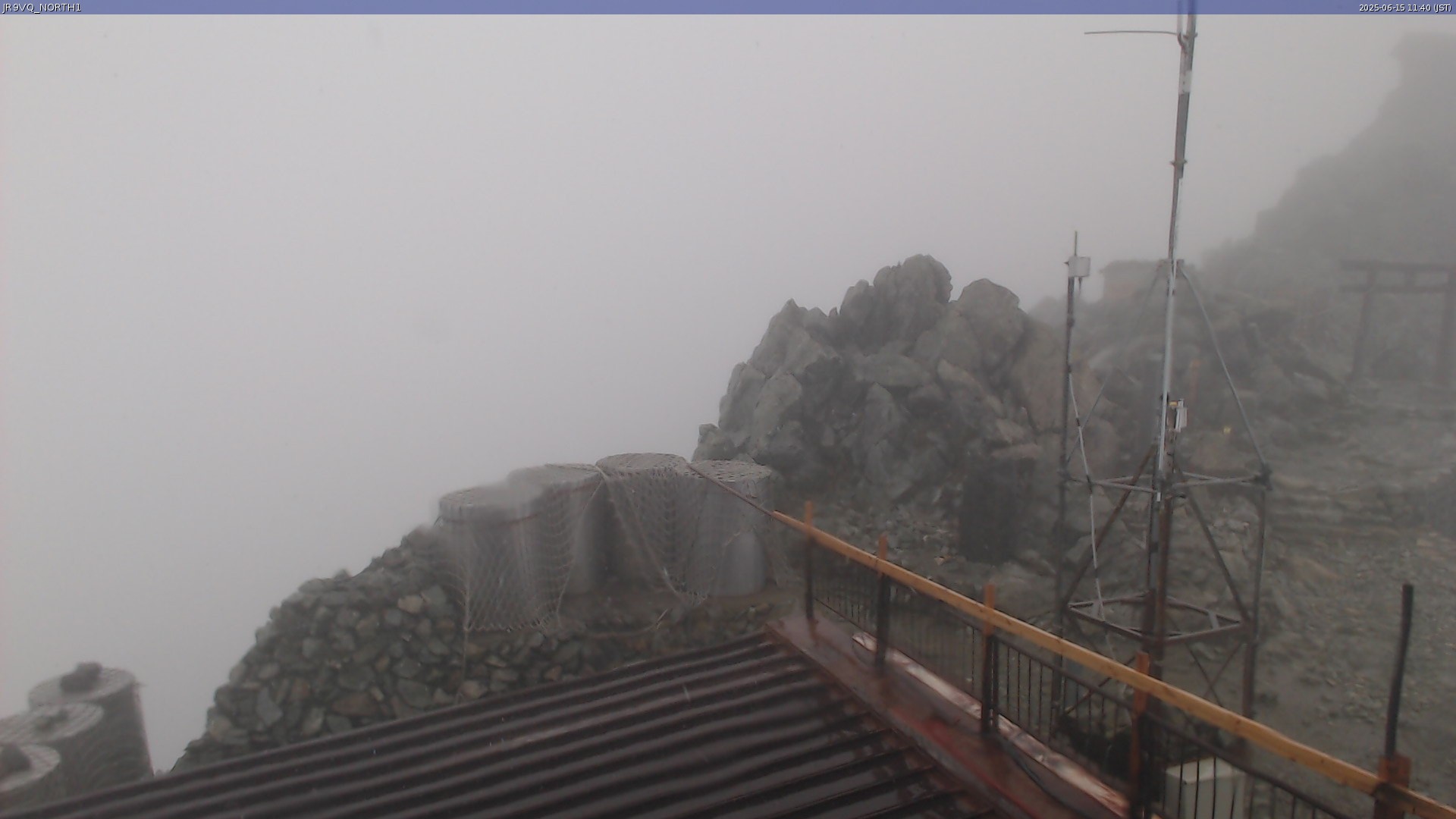live camera picture