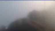 20250707_052002.jpg 