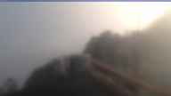 20250711_052002.jpg 