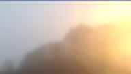 20250819_052002.jpg 