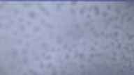 20260428_180002.jpg 
