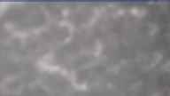 20260429_080001.jpg 
