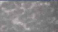 20260429_090002.jpg 