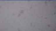 20260501_164002.jpg 
