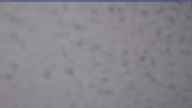 20260501_174001.jpg 