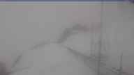 20260503_160002.jpg 