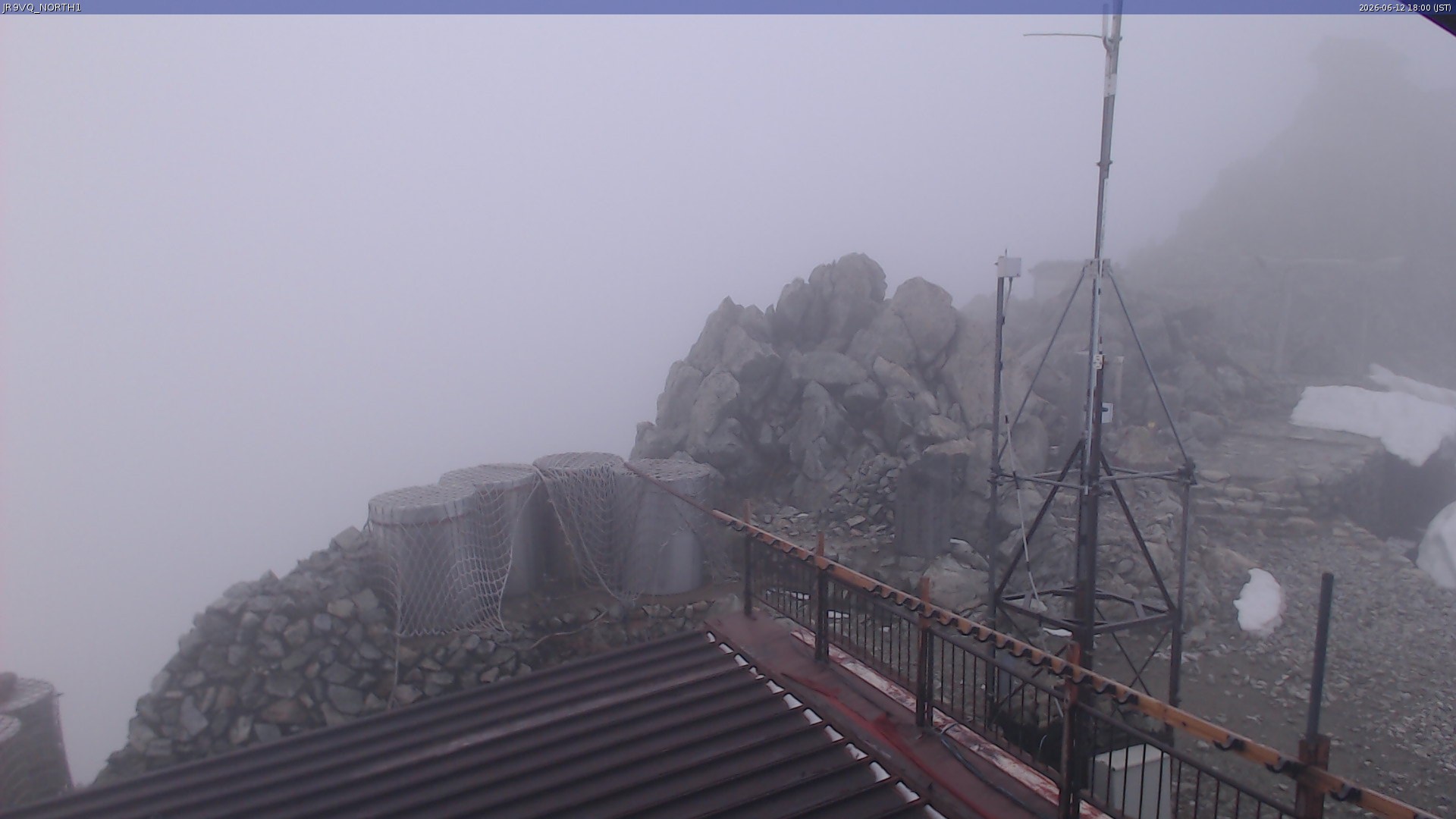 live camera picture
