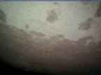 20220103_084002.jpg 