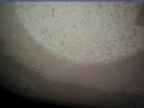 20220117_084002.jpg 