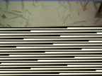 20220306_122002.jpg 