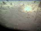 20220503_054002.jpg 