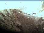20220512_062002.jpg 