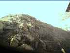 20220519_070002.jpg 