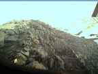 20220529_060002.jpg 