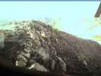 20220622_064005.jpg 