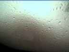 20220627_044005.jpg 