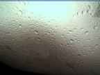 20220627_050005.jpg 