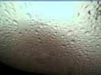 20220627_070005.jpg 