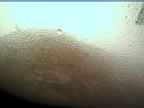 20220710_062005.jpg 