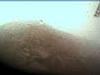 20220710_064005.jpg 