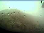 20220717_052002.jpg 