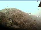 20220723_084002.jpg 