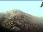 20220805_064002.jpg 