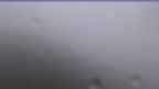 20220901_180038.jpg 