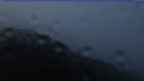 20220904_050037.jpg 