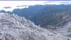 20220918_054054.jpg 