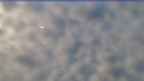 20221210_070253.jpg 