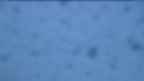 20221222_064151.jpg 