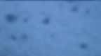 20230127_064147.jpg 