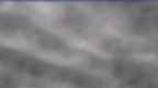 20230317_082058.jpg 