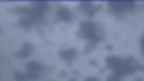 20230326_060109.jpg 