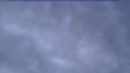 20230327_054114.jpg 