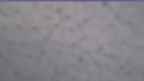 20230328_060108.jpg 