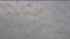 20230328_064119.jpg 