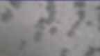 20230406_070111.jpg 